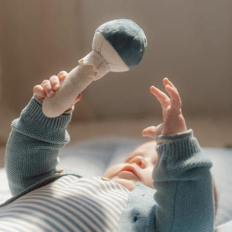 Sonajero seta Forest Friends – juguete bebé sensorial | Little Dutch