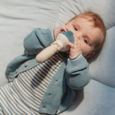 Sonajero seta Forest Friends – juguete bebé sensorial | Little Dutch