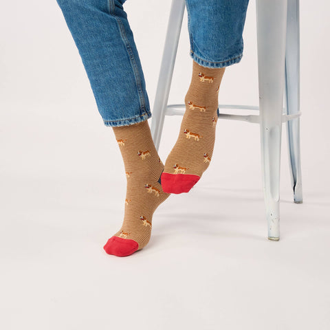 Chaussettes en coton peigné animaux - Saint-Bernard