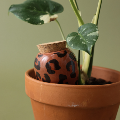 Olla de riego Leopardo macchiato - Pépin