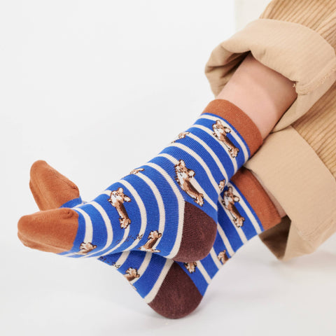 Calcetines de niño con rayas - Corgi - Billy Belt
