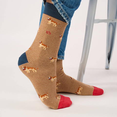 Chaussettes en coton peigné animaux - Saint-Bernard