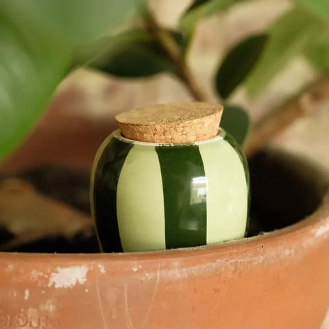Olla de riego con rayas verdes - Pépin