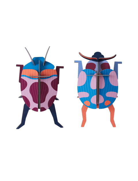 Pareja de Mariquitas - Studio Roof