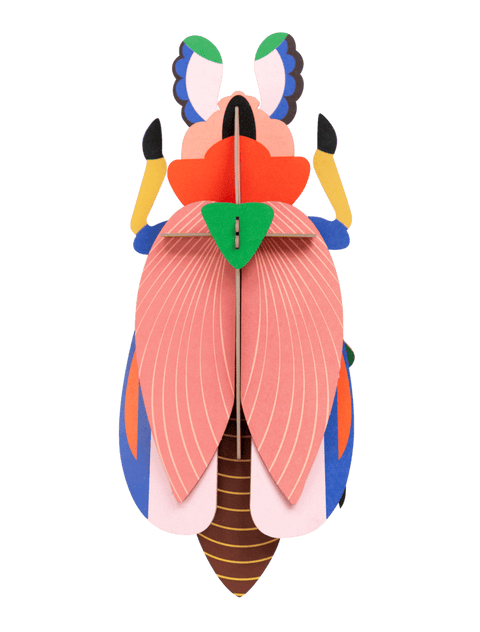 Escarabajo Gigante Rosa - Studio Roof