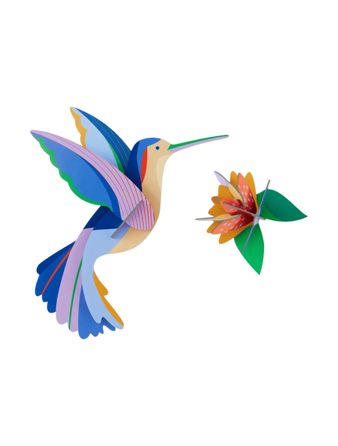 Colibrí - Pájaro del Paraíso - Studio Roof