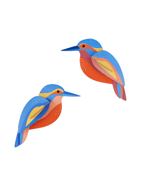 Martín Pescador - Pájaros de jardín - Studio Roof