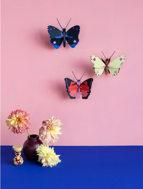 Mariposa "Blue Diadem" - Studio Roof