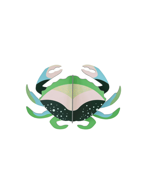 Mini Cangrejo - Studio Roof