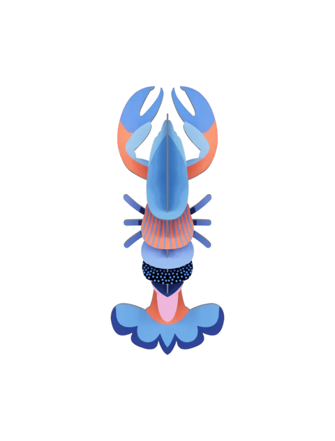 Mini Langosta - Studio Roof