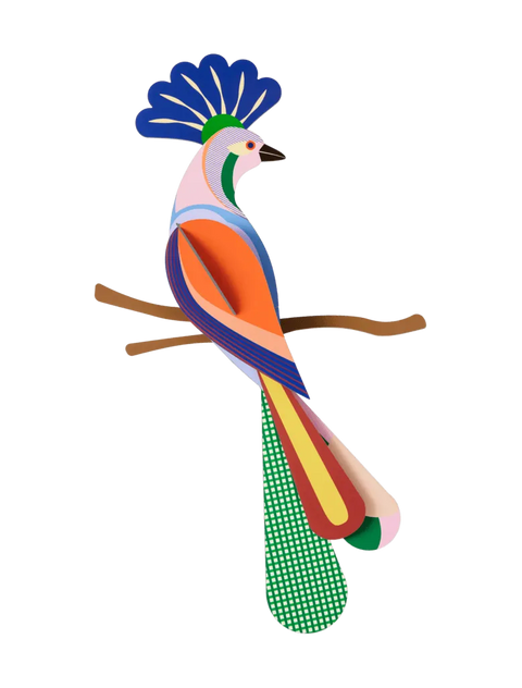 Pájaro del Paraíso Tinjil - Studio Roof