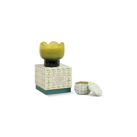 Vela perfumada Tulip 155g – Verbena & Lemongrass – Paddywax