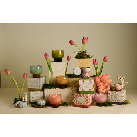 Vela perfumada Tulip 155g – Verbena & Lemongrass – Paddywax