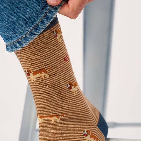 Chaussettes en coton peigné animaux - Saint-Bernard