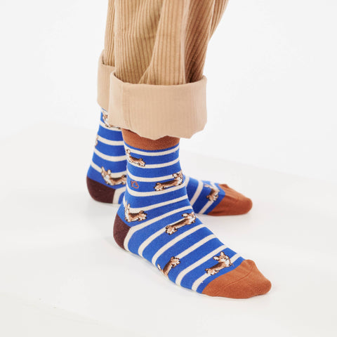 Calcetines de niño con rayas - Corgi - Billy Belt